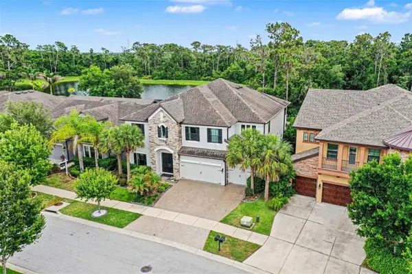 13817 Moonstone Canyon Drive, RIVERVIEW, FL 33579