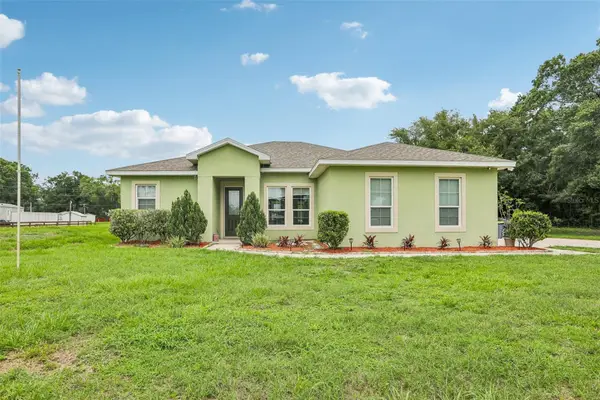 9876 Pangola Loop, LAND O LAKES, FL 34639