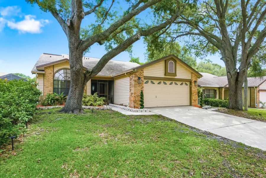 665 Deer Run N, Palm Harbor, FL 34684 - #3