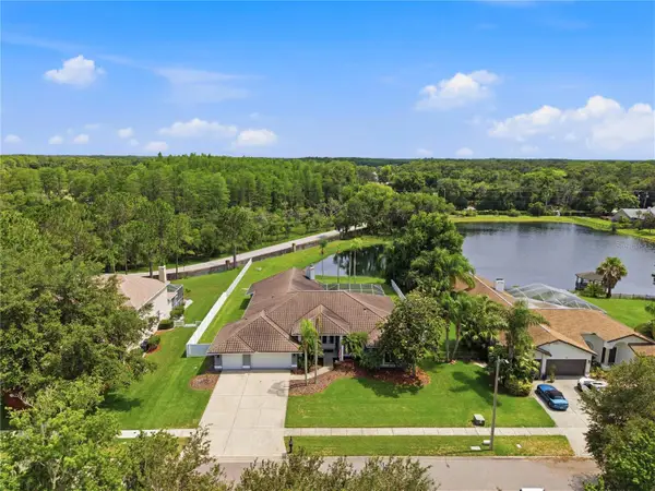 17024 Winners Circle, ODESSA, FL 33556