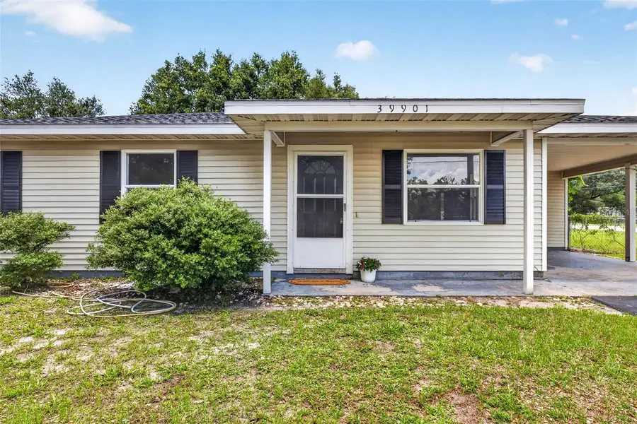 39901 Otis Allen Road, Zephyrhills, FL 33540 - #3