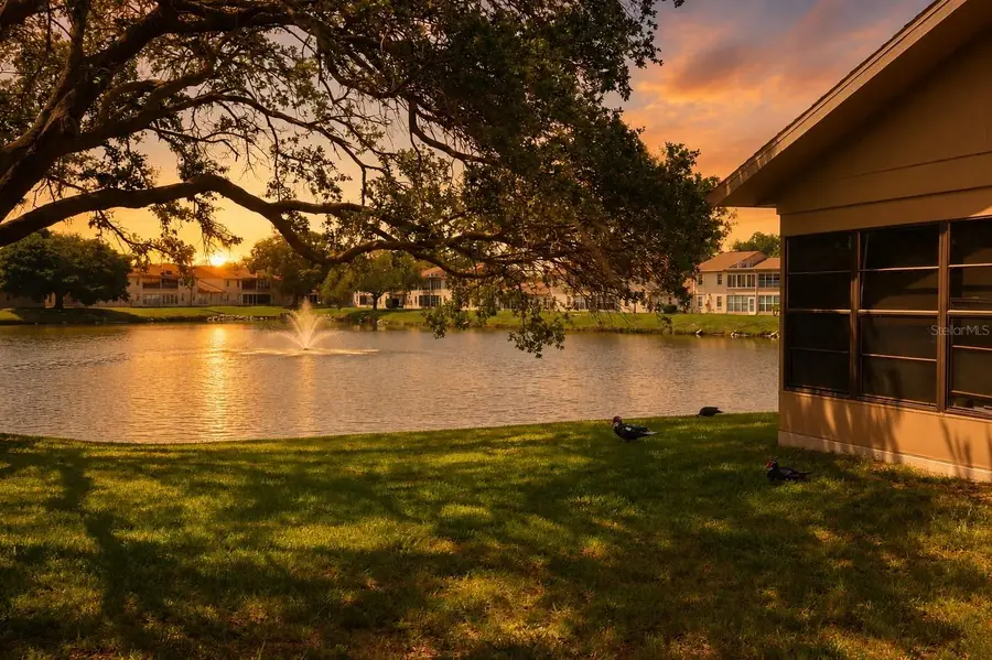 3835 Sailmaker Lane, Holiday, FL 34691 - #3