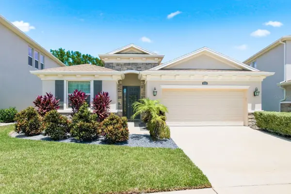 8036 Praise Drive, TAMPA, FL 33625