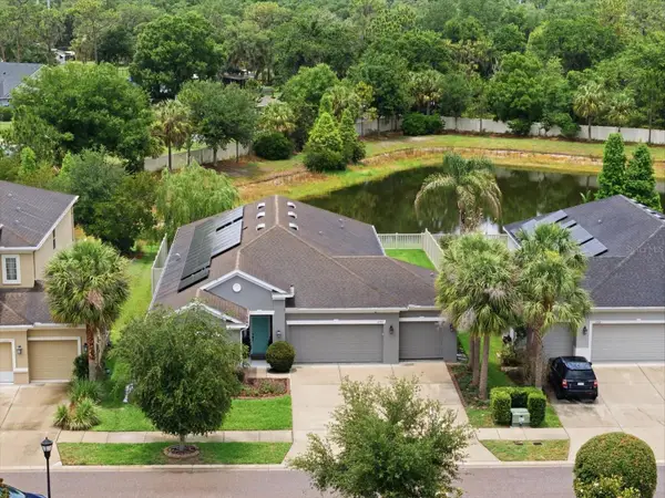 17735 Bright Wheat Drive, LITHIA, FL 33547