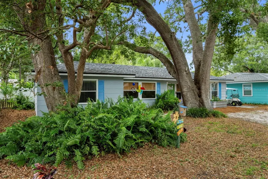 818 Wilkie Street, Dunedin, FL 34698 - #3