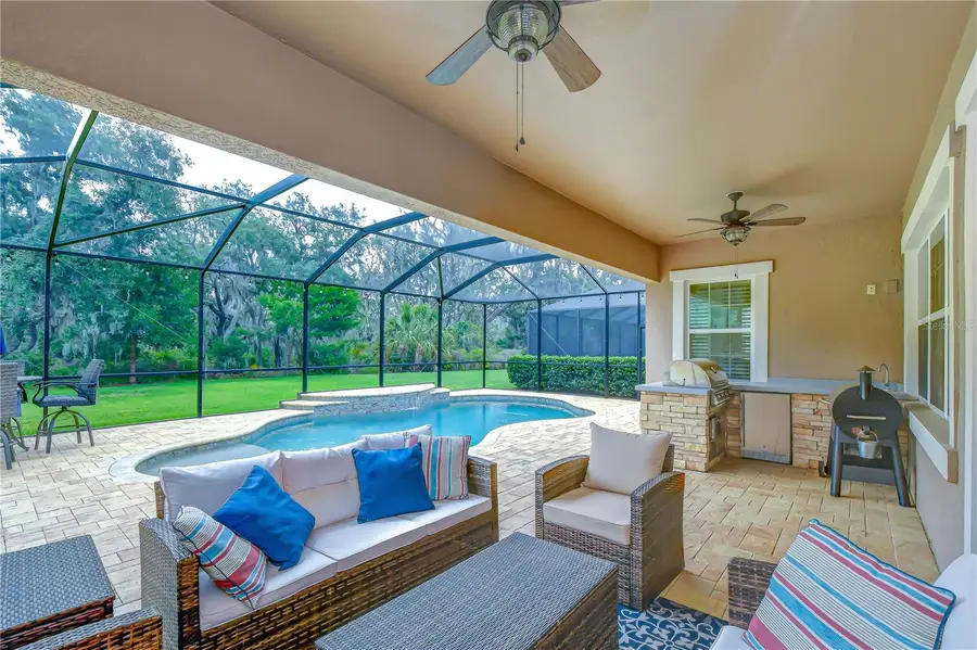 6335 Knob Tree Drive, Lithia, FL 33547 - #3