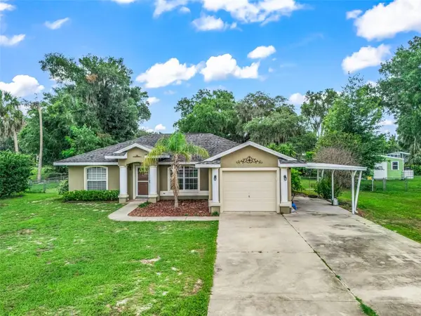 1195 Cr 441, LAKE PANASOFFKEE, FL 33538