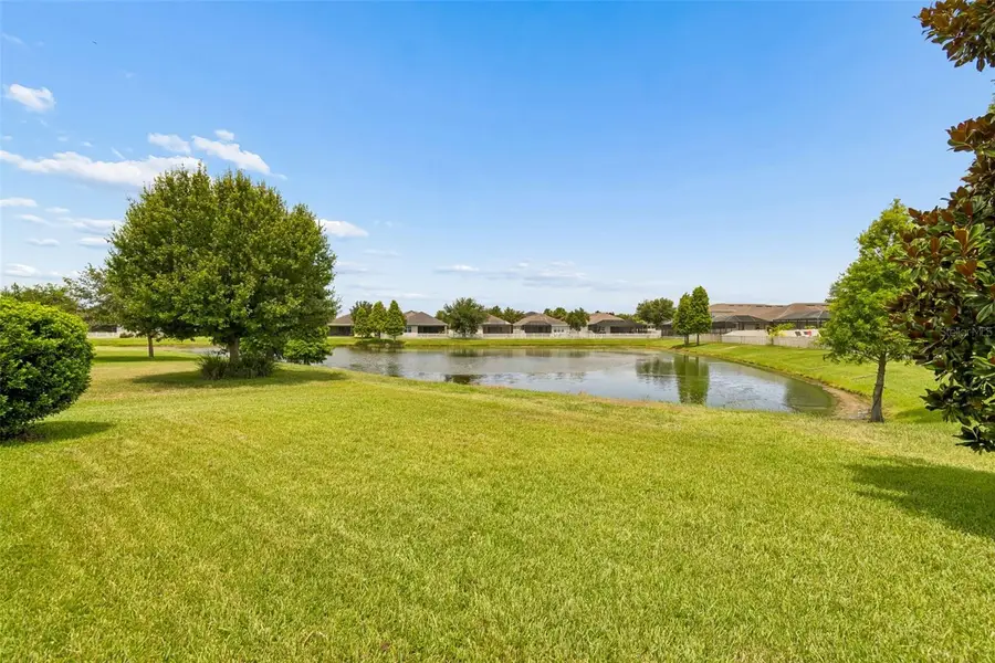17566 Buckingham Garden Drive, Lithia, FL 33547 - #3