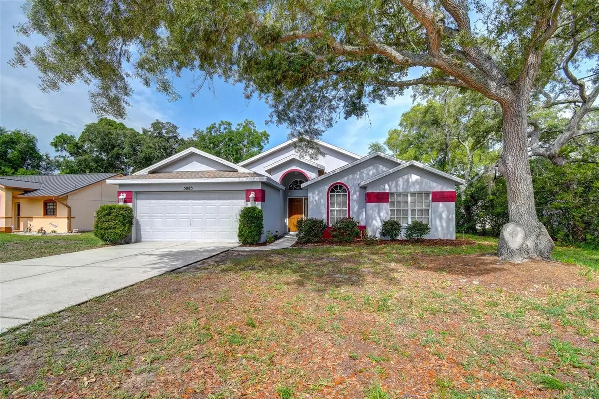 5085 Plumosa Street, Spring Hill, FL 34607 - #1