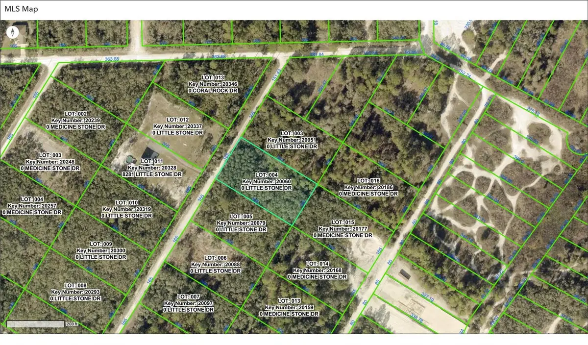 000 Little Stone Drive, Webster, FL 33597 - #1
