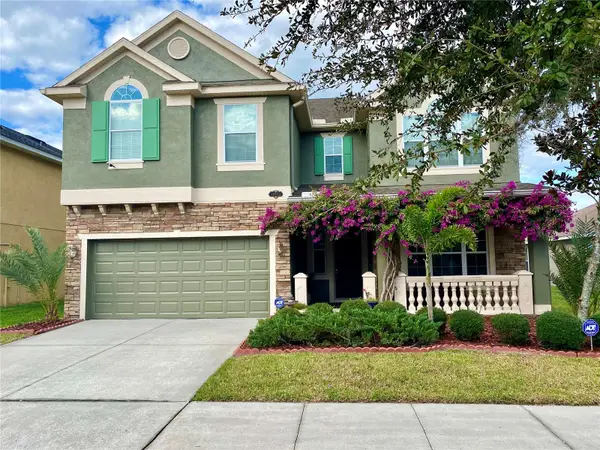 10812 Ancient Futures Drive, TAMPA, FL 33647