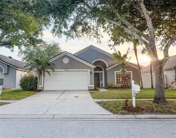 8608 Fawn Creek Drive, TAMPA, FL 33626
