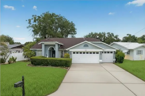 16 Citrus Drive, PALM HARBOR, FL 34684
