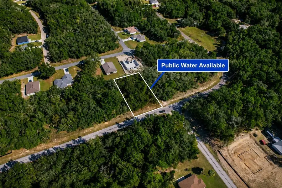 10562 N Adler Drive, Citrus Springs, FL 34434 - #2