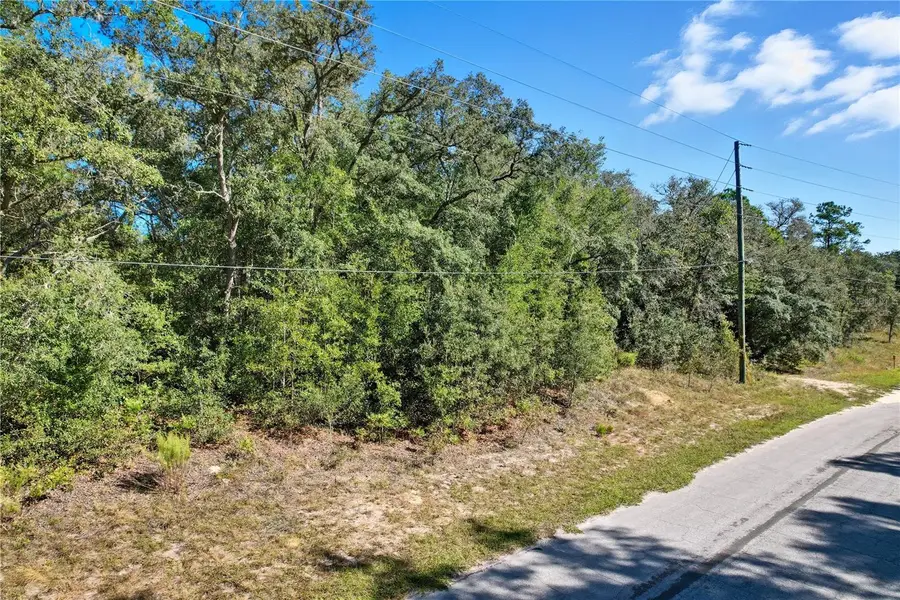 10562 N Adler Drive, Citrus Springs, FL 34434 - #3