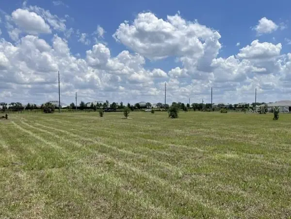 15202 Patterson Road, ODESSA, FL 33556