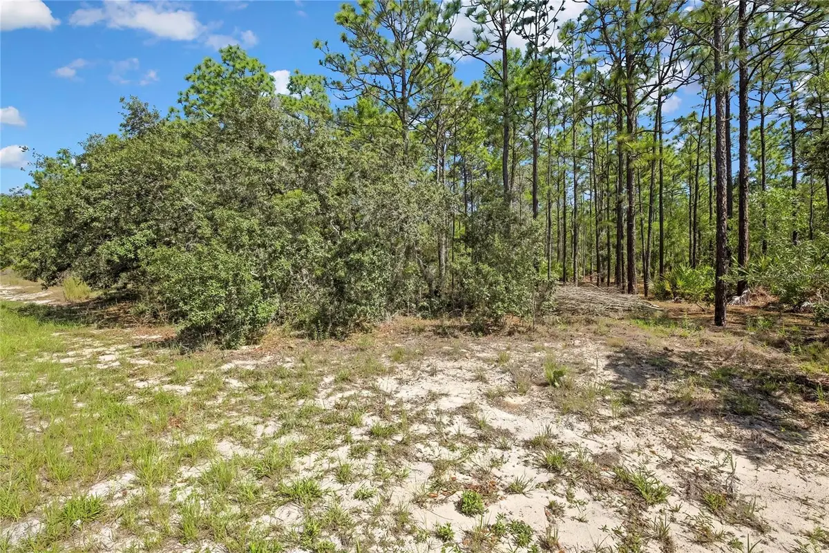 4156 W Horseshoe Drive, Beverly Hills, FL 34465 - #1