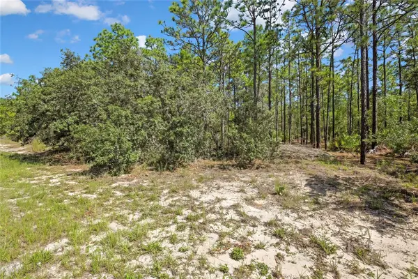 4156 W Horseshoe Drive, BEVERLY HILLS, FL 34465