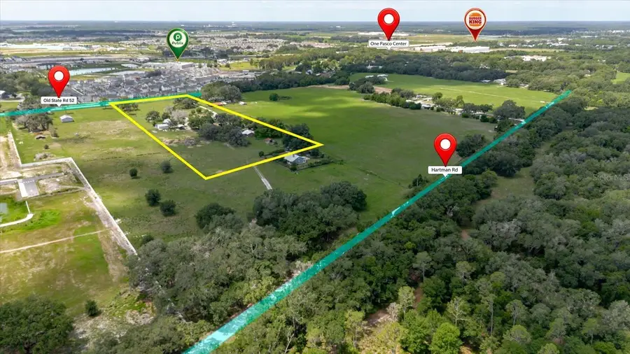 31557 Cr-52, San Antonio, FL 33576 - #3