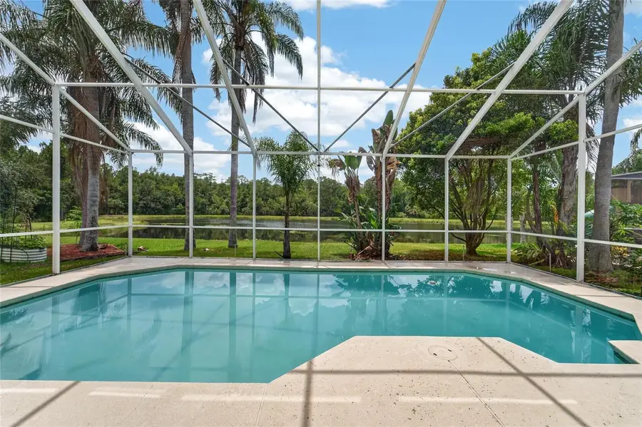 19128 Meadow Pine Drive, Tampa, FL 33647 - #2