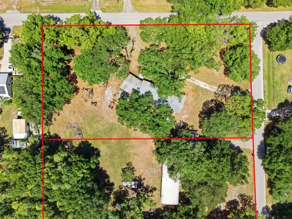 17214 Chinaberry Road, LUTZ, FL 33558