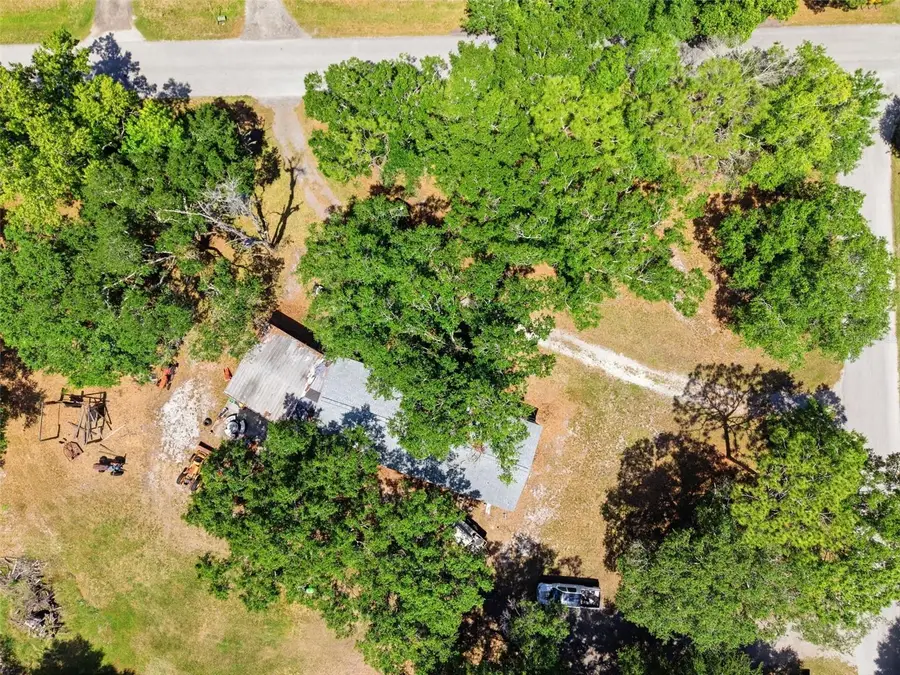 17214 Chinaberry Road, Lutz, FL 33558 - #3