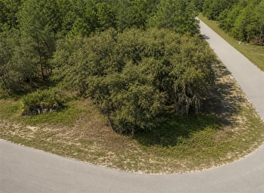 0 Malauka Drive, Ocklawaha, FL 32179 - #2