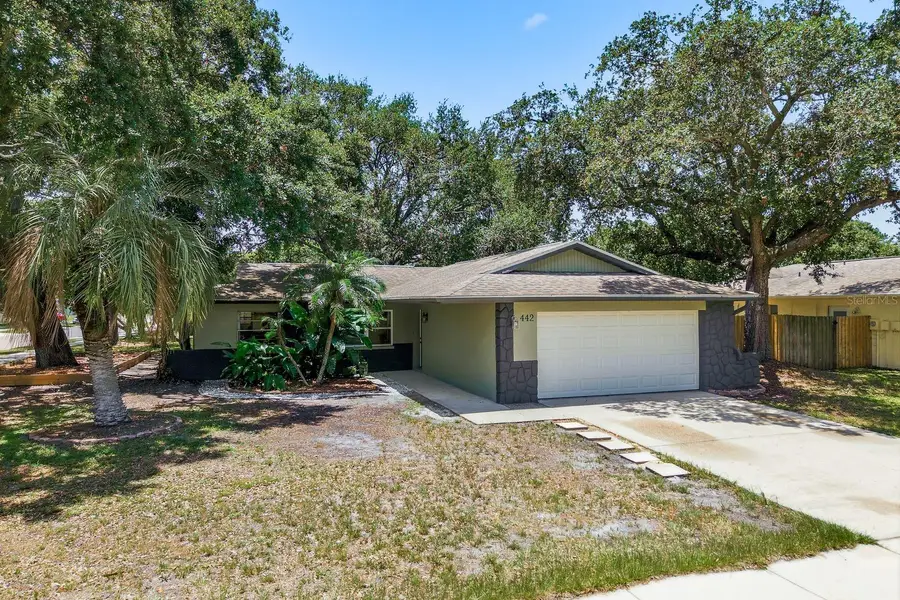 442 Evergreen Drive, Oldsmar, FL 34677 - #3