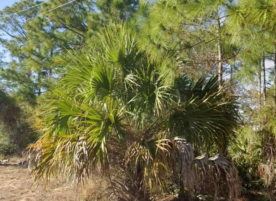 2706 52nd Street W, Lehigh Acres, FL 33971 - #1