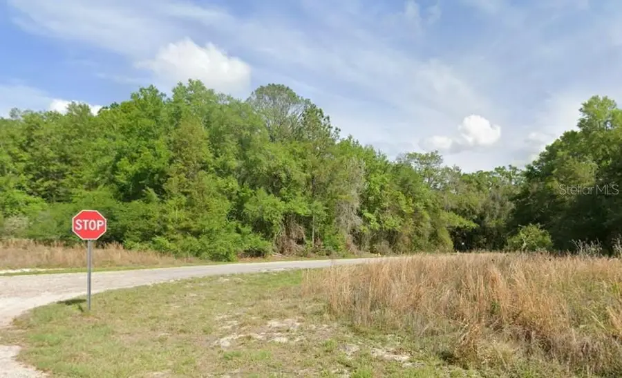 7995 N Walton Terrace, Dunnellon, FL 34434 - #2