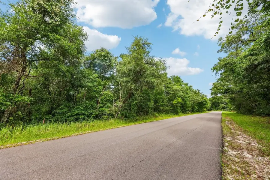 33340 Tombstone St, Webster, FL 33597 - #2