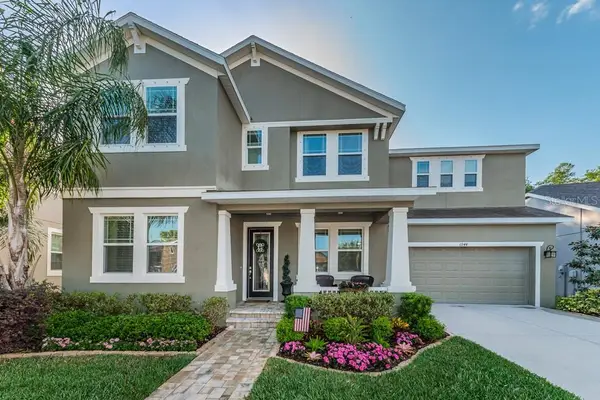 6944 Rocky Canyon Way, TAMPA, FL 33625