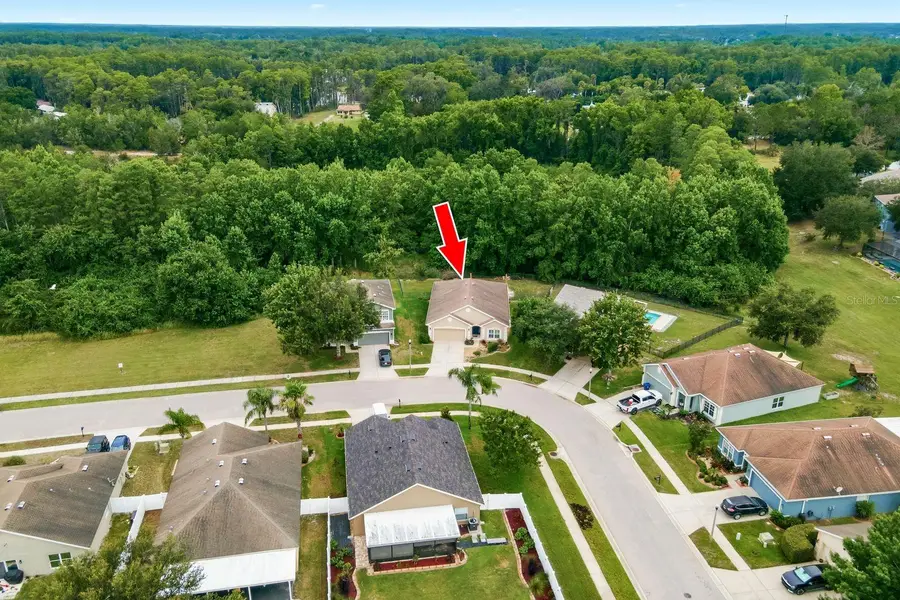 5643 White Trillium Loop, Land O Lakes, FL 34639 - #2