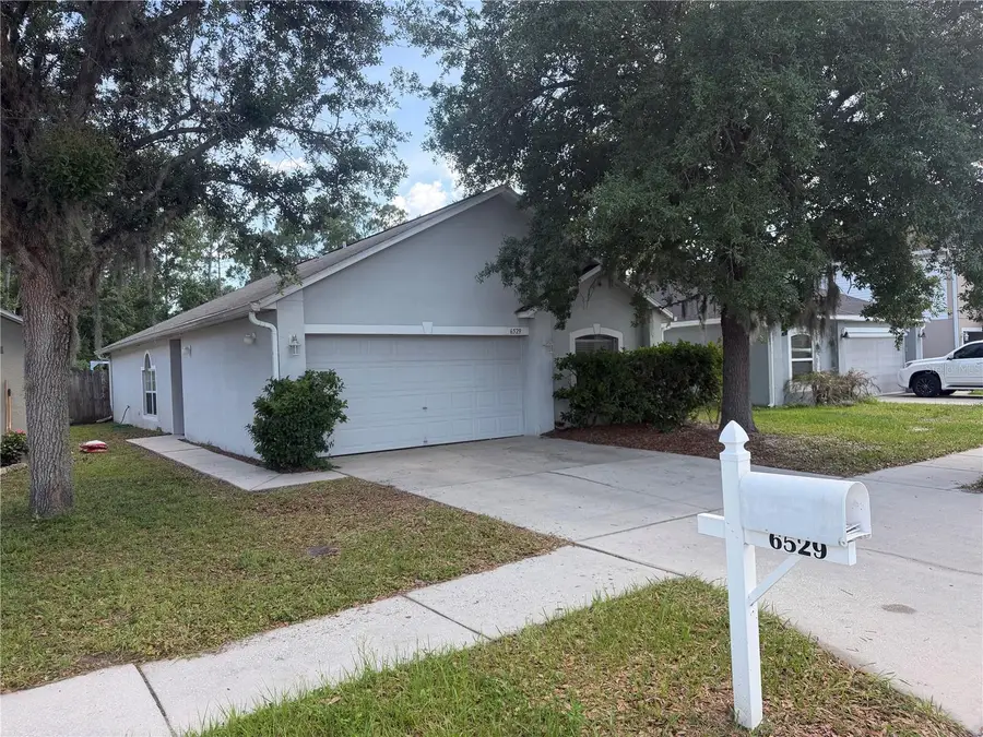 6529 Tabogi Trail, Wesley Chapel, FL 33545 - #2