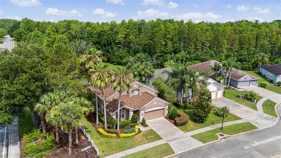 8711 Preston Woods Court, Land O Lakes, FL 34638 - #2