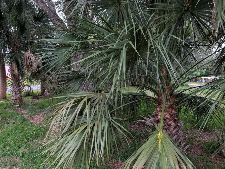 Address Withheld By Seller, Weeki Wachee, FL 34607 - #2
