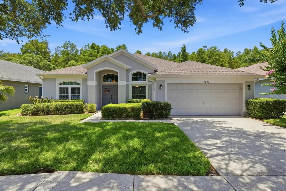 19720 Morden Blush Drive, Lutz, FL 33558 - #1