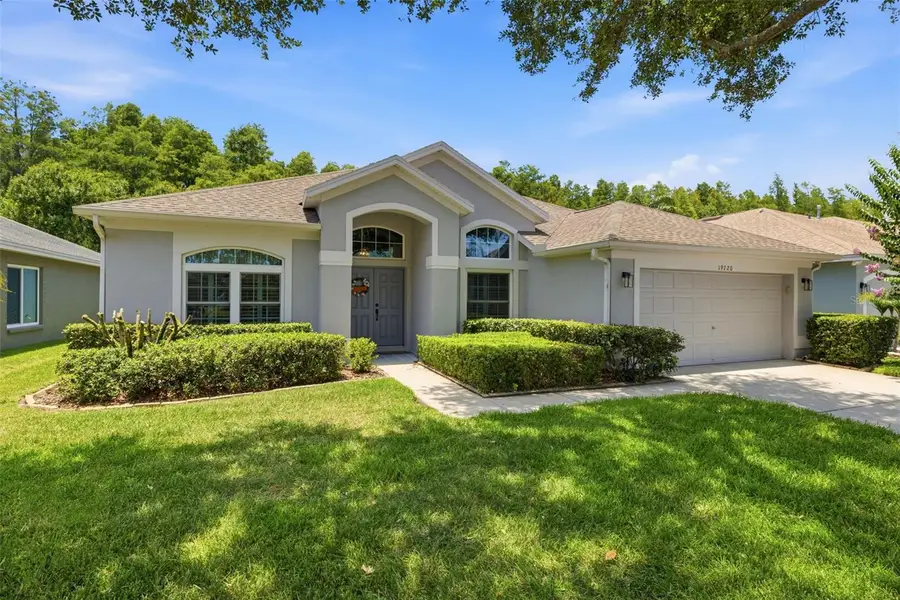 19720 Morden Blush Drive, Lutz, FL 33558 - #2