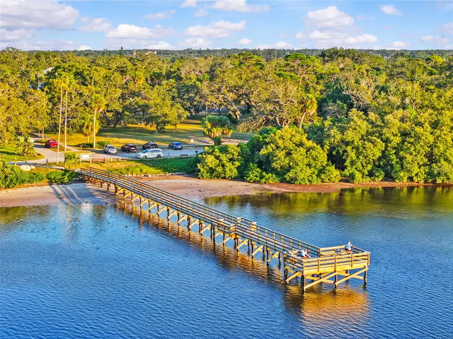 314 Indiana Avenue, Crystal Beach, FL 34681 - #3