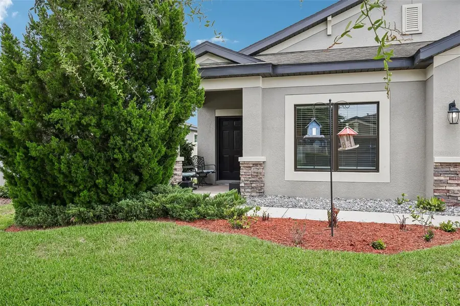 8210 Mallow Mirror Lane, Land O Lakes, FL 34637 - #2