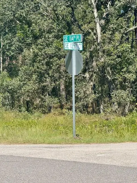 135 Court Se, Dunnellon, FL 34431 - #2