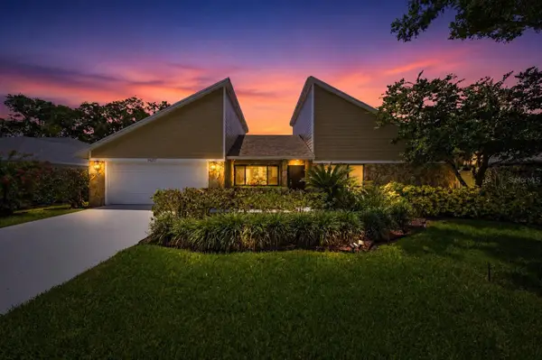14207 Ashburn Place, TAMPA, FL 33624