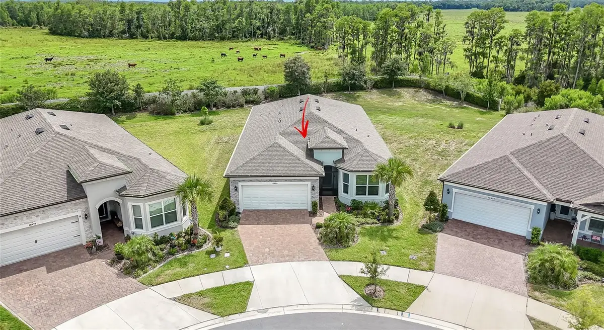 18466 Coastal Shore Terrace, Land O Lakes, FL 34638 - #1