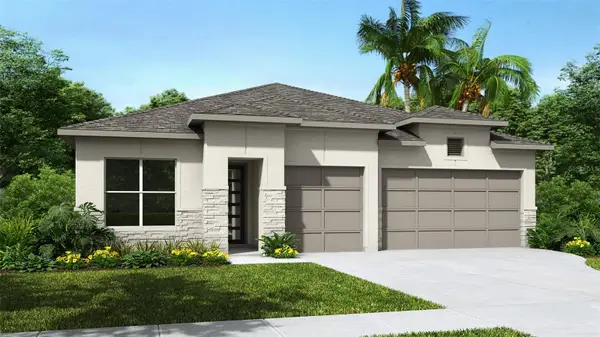 5583 Vibrant Vine Drive, WIMAUMA, FL 33598