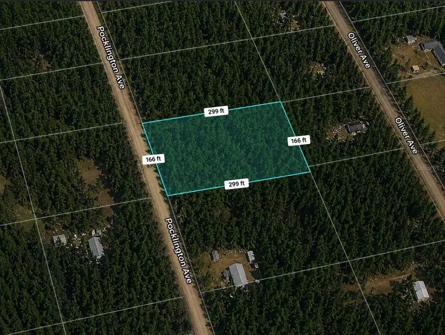 9740 Pocklington Avenue, Hastings, FL 32145 - #2
