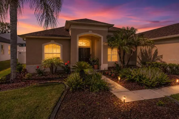 2307 Silver Trumpet Court, VALRICO, FL 33594