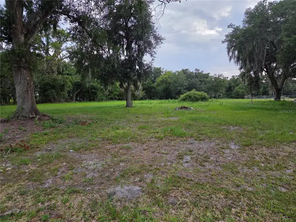 10716 Mcintosh Road, THONOTOSASSA, FL 33592