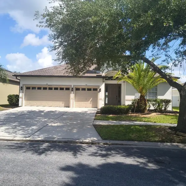 20016 Oakflower Avenue, TAMPA, FL 33647