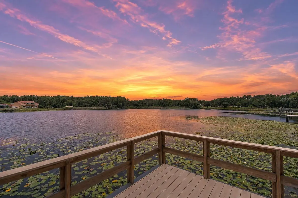 2459 Shorewood Lane, Land O Lakes, FL 34639 - #1