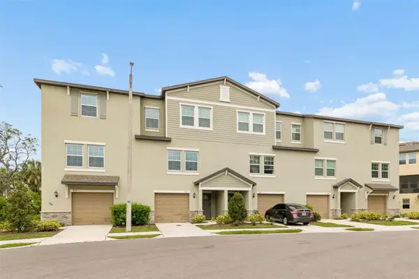 873 Tennyson Mill Circle, TAMPA, FL 33619